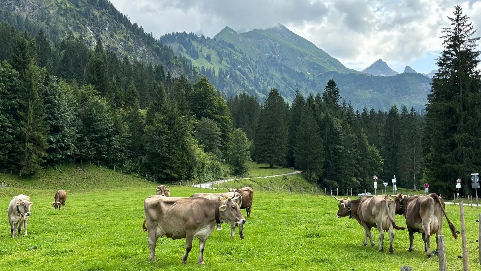 Alternative Zur Junior-Suite Immenstadt im Allgaeu Germany